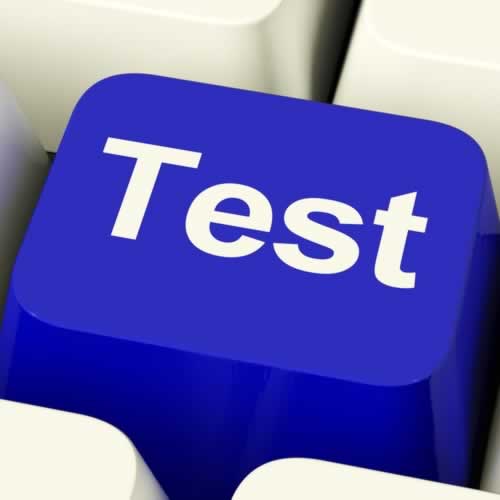 Test item